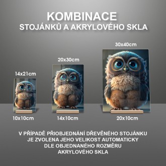 Akrylové sklo Animovaná sova