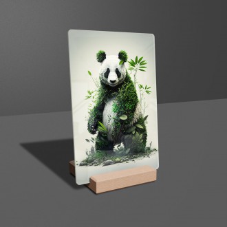 Akrylové sklo Prírodná panda