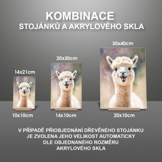 Akrylové sklo Akvarelová lama