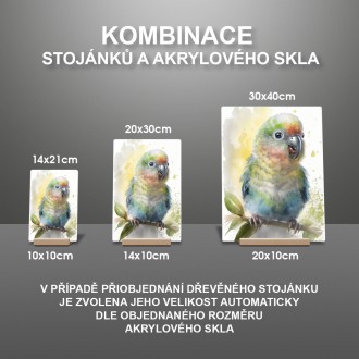 Akrylové sklo Akvarelový papagáj