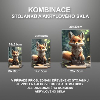 Akrylové sklo Roztomilá líška