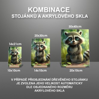 Akrylové sklo Roztomilý mýval