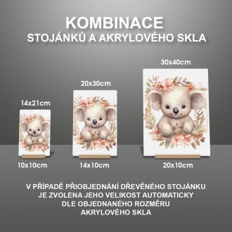 Akrylové sklo Mláďa koaly v kvetoch