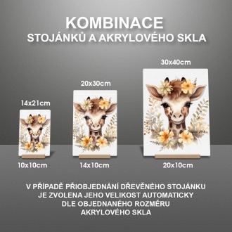 Akrylové sklo Mláďa žirafy v kvetoch