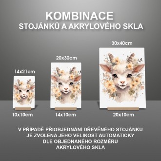 Akrylové sklo Mláďa kozy v kvetoch