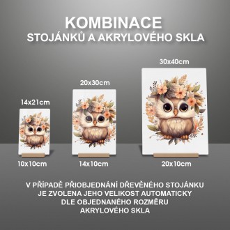 Akrylové sklo Mláďa sovy v kvetoch