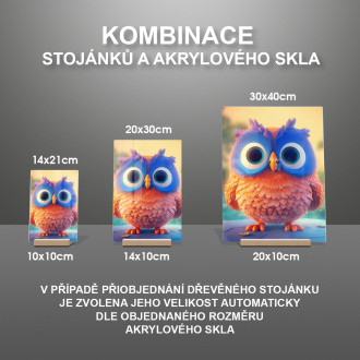 Akrylové sklo Roztomilá animovaná sova 1