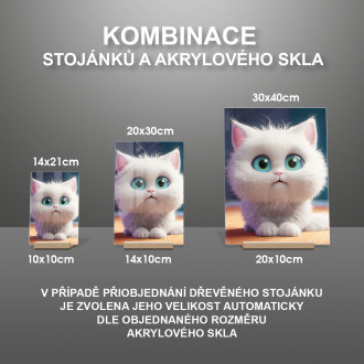 Akrylové sklo Roztomilá animovaná mačka 2