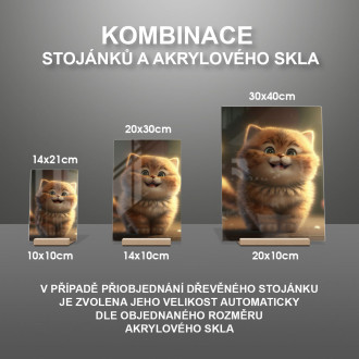 Akrylové sklo Roztomilá animovaná mačka 3