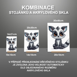 Akrylové sklo Kreslený Lemur