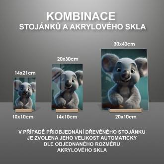 Akrylové sklo Roztomilá animovaná koala