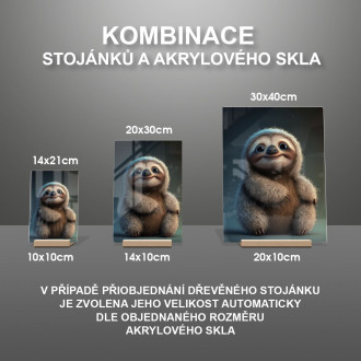 Akrylové sklo Roztomilý animovaný leňochod