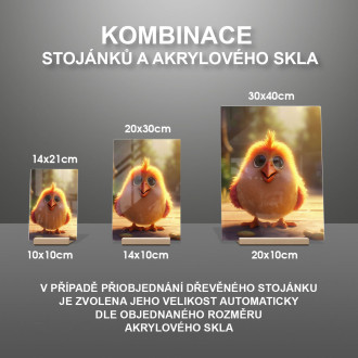 Akrylové sklo Roztomilé animované kura 1