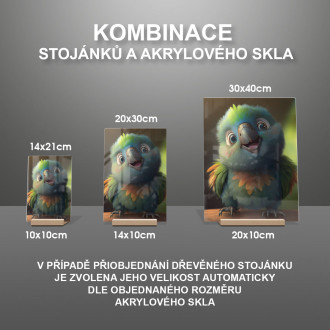 Akrylové sklo Roztomilý animovaný papagáj 2