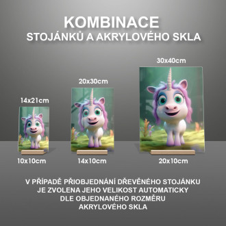 Akrylové sklo Roztomilý animovaný jednorožec 1