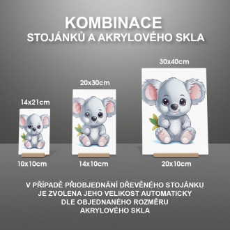 Akrylové sklo Kreslená Koala
