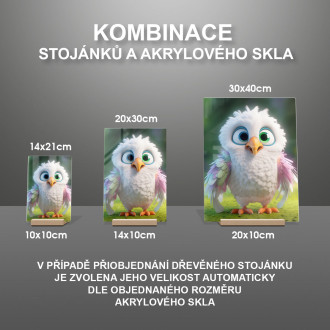 Akrylové sklo Roztomilý animovaný orol