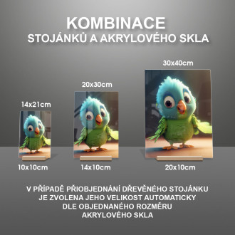 Akrylové sklo Roztomilý animovaný papagáj