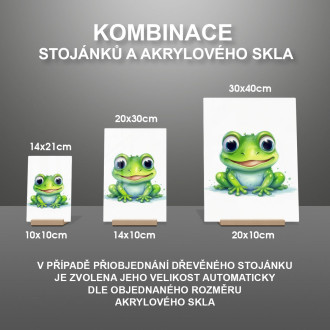 Akrylové sklo Kreslená Žabka