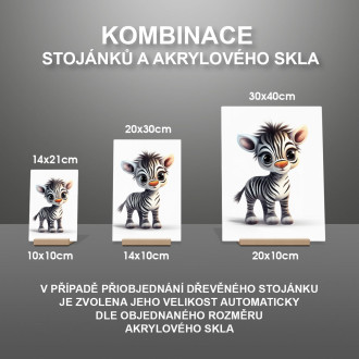 Akrylové sklo Kreslená Zebra