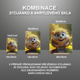 Akrylové sklo Roztomilý animovaný ježko