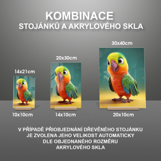 Akrylové sklo Roztomilý animovaný papagáj 1