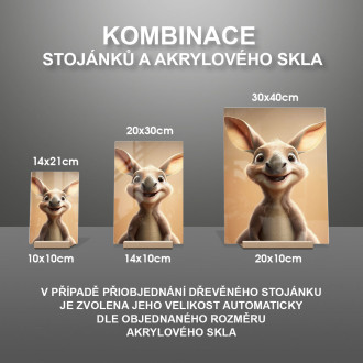 Akrylové sklo Roztomilý animovaný klokan 1