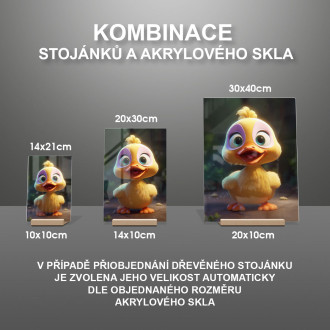 Akrylové sklo Roztomilá animovaná kačica