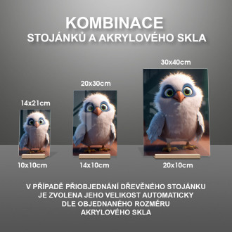 Akrylové sklo Roztomilý animovaný orol 1