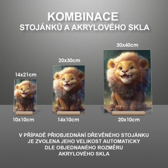 Akrylové sklo Roztomilý animovaný lev 2