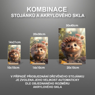 Akrylové sklo Roztomilý animovaný ježko 2