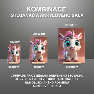 Akrylové sklo Roztomilý animovaný jednorožec