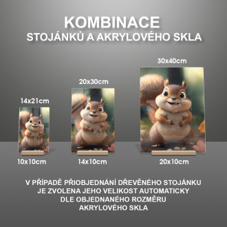 Akrylové sklo Roztomilá animovaná veverička 2