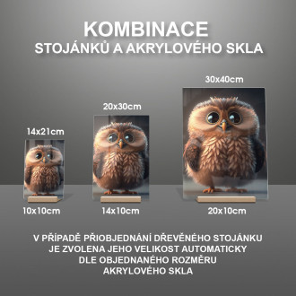 Akrylové sklo Roztomilá animovaná sova 2