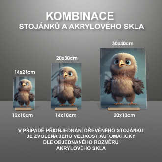 Akrylové sklo Roztomilý animovaný orol 2