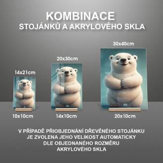 Akrylové sklo Roztomilý animovaný ľadový medveď