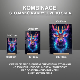 Akrylové sklo Vesmírny jeleň 2