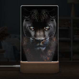 Lampa Čierny panter samec