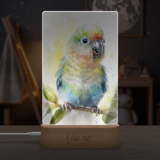 Lampa Akvarelový papagáj