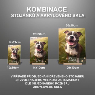 Fotografie domáceho maznáčika