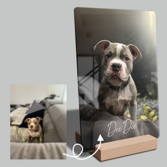 Fotografie domáceho maznáčika