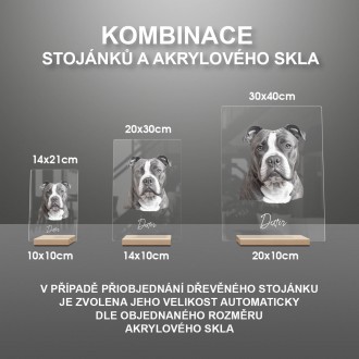 Portrét domáceho maznáčika ceruzkou