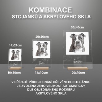 Portrét domáceho maznáčika ceruzkou