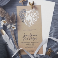 Laser collection karty